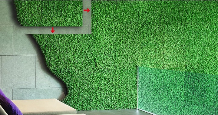 Indoor Moss Walls