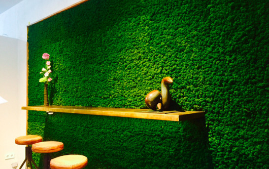 indoor solutions