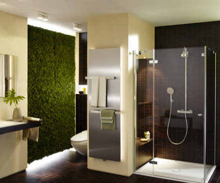 Indoor moss wall