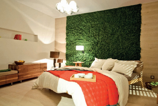 indoor moss walls