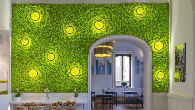 Indoor Moss Wall