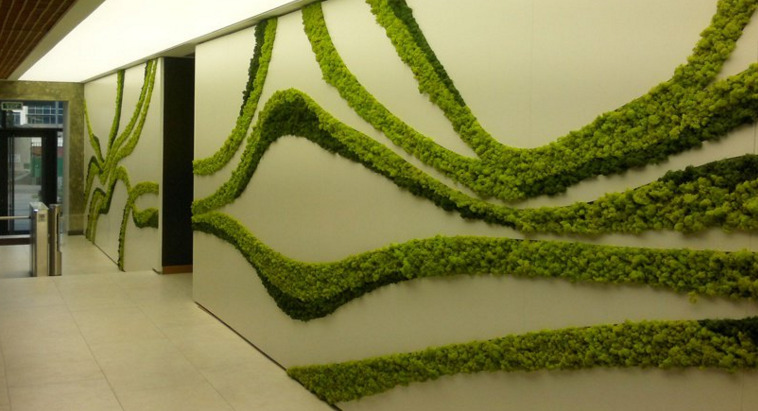 Indoor Moss Wall