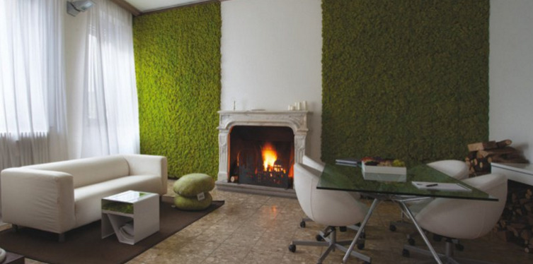 Indoor Moss Wall