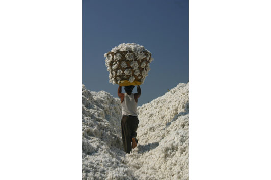 Cotton basket