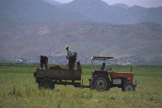farmers