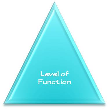 Level of Function resized 600