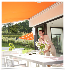 lifestyle awning