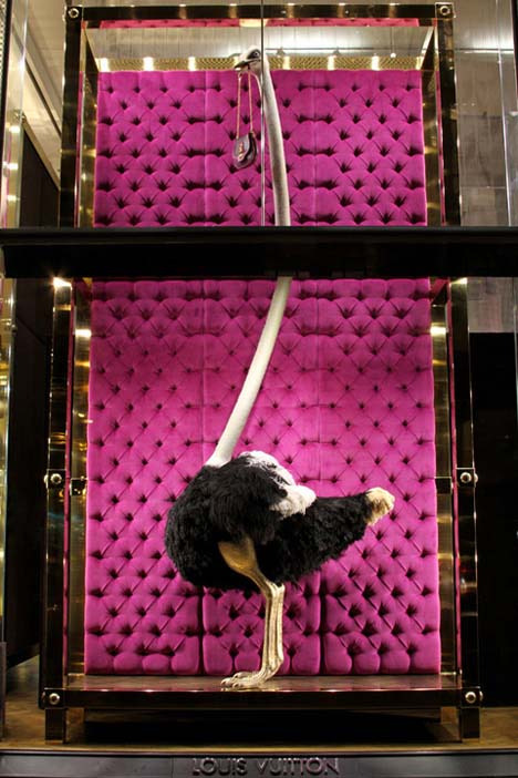 Louis Vuitton Ostrich Windows1 resized 600