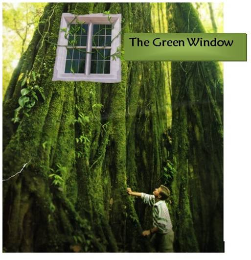 the green window resized 600